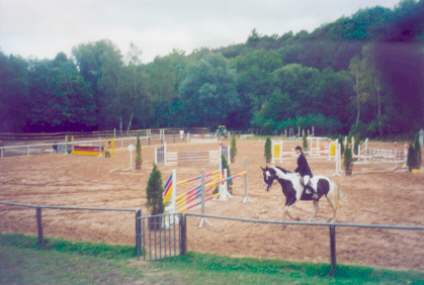 ab_galopp 3