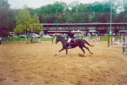 Ertl1